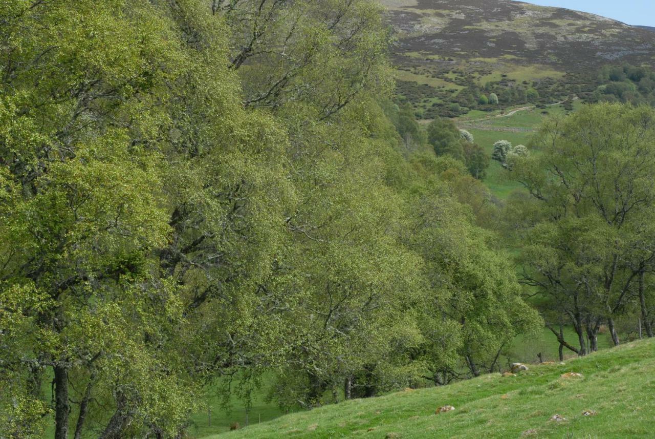Howe Of Torbeg Ballater Eksteriør bilde